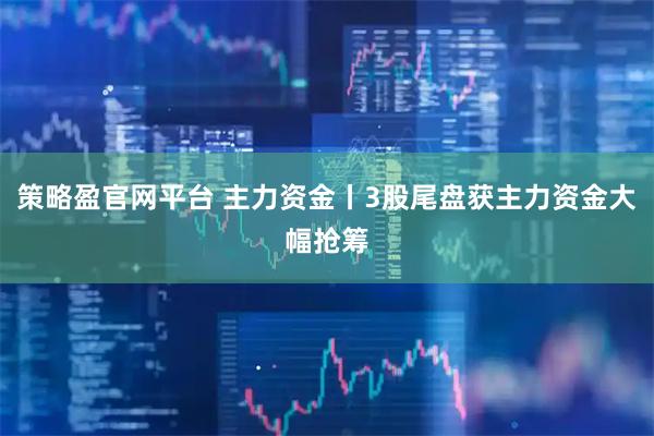 策略盈官网平台 主力资金丨3股尾盘获主力资金大幅抢筹